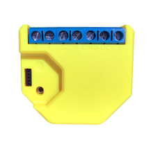 Load image into Gallery viewer, Shelly RGBW2.